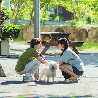 summer strike (12 episodes)