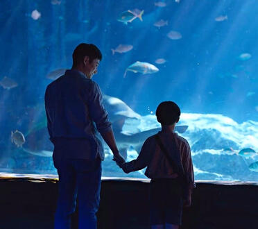 move to heaven (10 episodes)